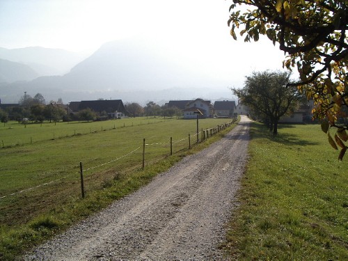 Zeluce 191003 030.jpg